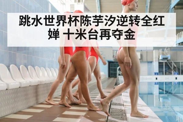 women's platform diving competition