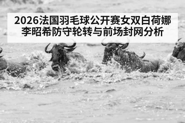 2026法国羽毛球公开赛女双白荷娜李昭希防守轮转与前场封网分析